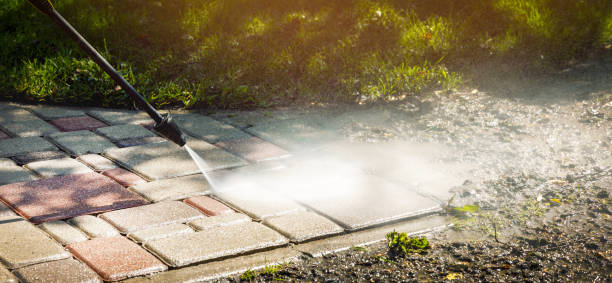 Best Fence Cleaning  in Auburn Lake Trails, CA
